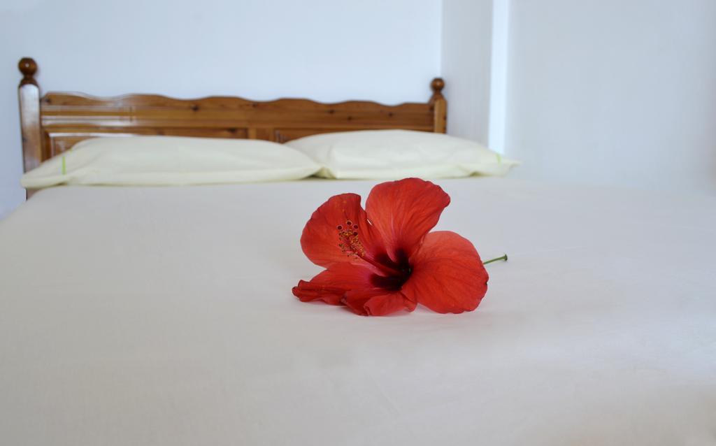 Villa Panorma Qeparo Zewnętrze zdjęcie